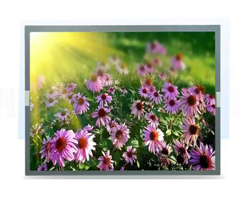 Il grado industriale 15in TFT colora il ODM LCD del pannello del touch screen di 600:1 LCD dell'esposizione