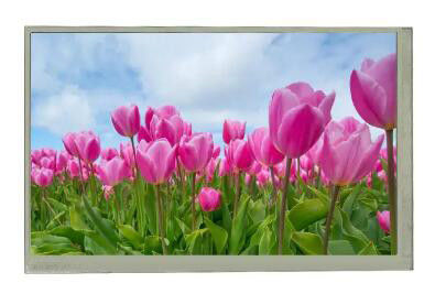 Esposizione a 7 pollici di At070tn83 V.1 800x480 con i pannelli LCD 300Nits 40Pins di colore del touch screen